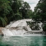 vera ggpueyyhvle unsplash