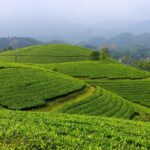 vietnam 8259984 1280