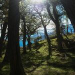 vince veras ojnm7111muc unsplash