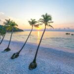 vivu vietnam ivjvh1v1pvs unsplash