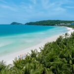 vivu vietnam r6cizamxaek unsplash