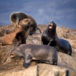 william warby gnsrjbvrnok unsplash