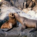 william warby szuff8zwkki unsplash