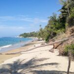 willian reis scm5k eqldw unsplash