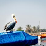 yannik oetiker yd hadre9yi unsplash