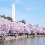 yeon choi oqhyqygd9po unsplash