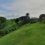 yoel winkler jmhfwovv65y unsplash