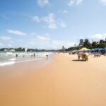 ystallonne alves 7vwcujldf2o unsplash