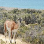 zach kirby 6grk97sxpb4 unsplash