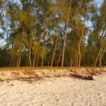 zanzibar 2708277 1280