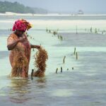 zanzibar 4707182 1280