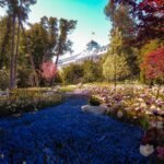 aaron burden avj4rkjmsuu unsplash