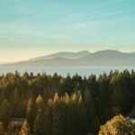 aditya chinchure tfedi3deqsi unsplash