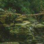 ali-burhan-GK9sSfQrGp4-unsplash