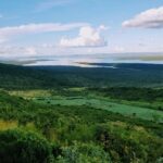 andrew-molo-4MoRgY7H42s-unsplash