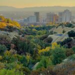 anh-phan-zPtvktT2Xx8-unsplash