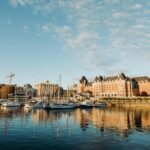 armon arani zu4l4erl sw unsplash