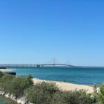 aubrey antles seqt5enlr6i unsplash