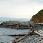 baron alloway xid6qv24uai unsplash