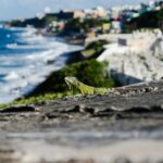 beiheng-guo-1hvN34xyB08-unsplash