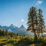 chris stenger gmrslh9j7ug unsplash