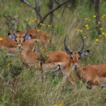 christian-ruehmer-e4-1w26UZGM-unsplash