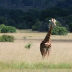 christian-ruehmer-yyndnnjmS-c-unsplash