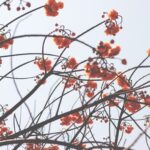 colin-mcmurry-moW1c5sUQZE-unsplash