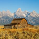 cora-leach-Z6Of9vBpY4E-unsplash