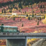 corey-simoneau-rn4jdGA9IV0-unsplash