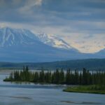 cynthia-martin-rGJ0yzmo3pE-unsplash