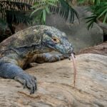 david-clode-o-S8EiQVo_g-unsplash