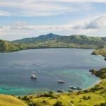 denissa-devy-fU2Mus9qmN8-unsplash