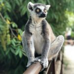 duminda perera oovkoxrtzz4 unsplash