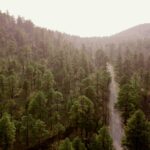 edmundo-mendez-jr-oc5ohpClK-E-unsplash