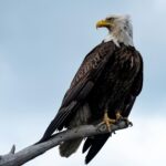 elan-smith-Pza-XLYkHL8-unsplash