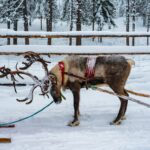 elien-BNEtOD4JtJc-unsplash