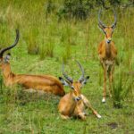 emmy-shingiro-BivO13JeQXw-unsplash