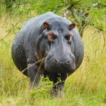 emmy-shingiro-Fb0k8nC_6j4-unsplash