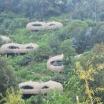 emmy-shingiro-MXDBIU5qW48-unsplash