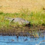 emmy-shingiro-pBBqSynRVhw-unsplash