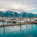 eric-zhu-bipav4Bat-4-unsplash