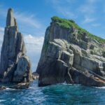 flora-hon-bP5-hjdR-IE-unsplash