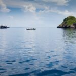 frans-daniels-Y2sKs4c8c48-unsplash