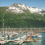 hari-nandakumar-1pwcha0X-PI-unsplash