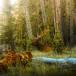 harrison-hargrave-Gj0jLzQLPrQ-unsplash