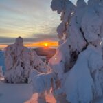 henniina-salomaki-Br7q3OEidEc-unsplash