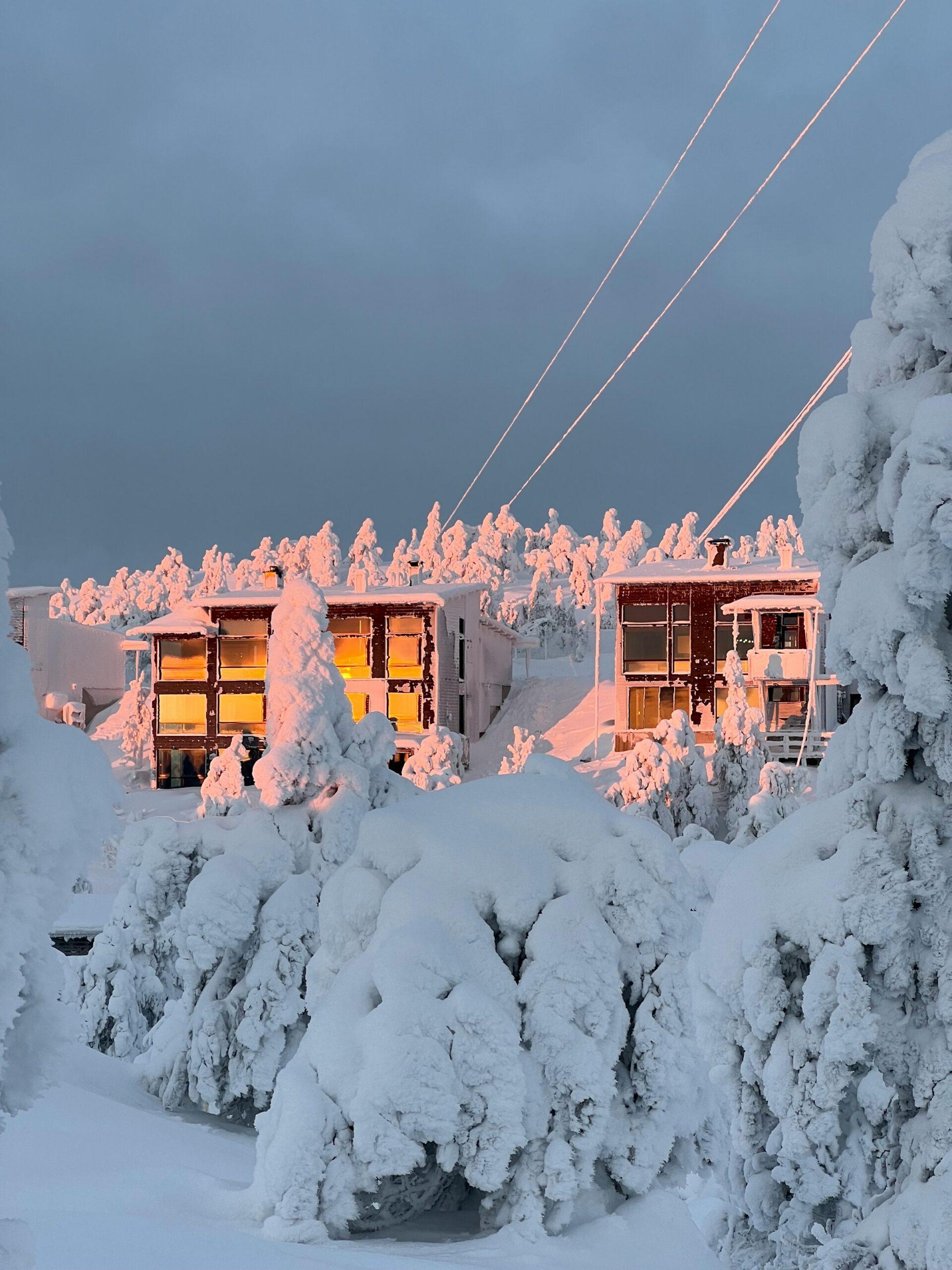 henniina-salomaki-HceE_AJ7GoE-unsplash