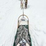 illia-panasenko-G9C5iNyW838-unsplash