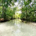 jacksonville-beach-moms-BU0BtfA2GsE-unsplash